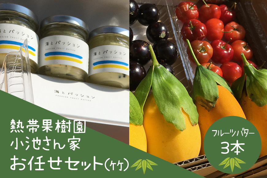 【2026年発送】熱帯果樹園小池さん家　お任せセット（竹） 126-2