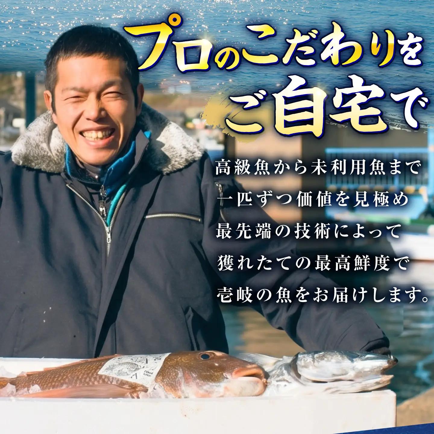 【3回定期便】【厳選】 壱岐島 刺身セット 150g×5パック 《壱岐市》【あかりや】 お刺身 刺し盛り 刺盛り 鮮魚 海鮮 海鮮丼 お造り 小分け タイ マグロ カツオ イカ ブリ クエ 詰め合わせ