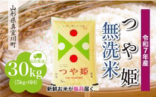 ＜令和7年産米＞ 特別栽培米 つや姫 【無洗米】 定期便 30kg （5kg×1ヶ月間隔で6回お届け）＜配送時期指定可＞　山形県真室川町