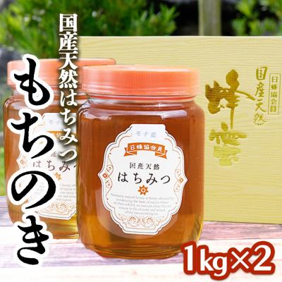 ふるさと納税 小郡市 はちみつ 国産 100% 天然はちみつ もちのき 2kg (1kg×2)[No5354-0212]