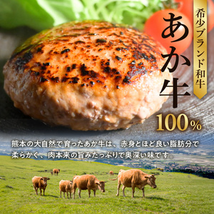 オアシス九州 熊本県産あか牛ハンバーグ150ｇ×10個 _U117-0049
