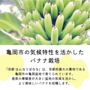 『京都はんなりばなな』1kg 皮まで食べられる 国産バナナ【訳あり】《栽培期間中農薬不使用 京都初 亀岡産 希少 規格外 フルーツ》 ※離島への配送不可