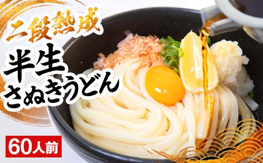 二段熟成半生さぬきうどん60人前 300g×20袋 FAH-0100