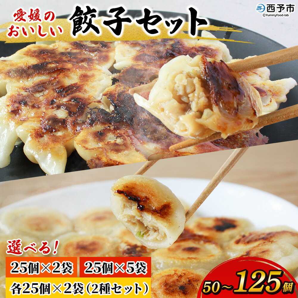【ふるさと納税】＜愛媛のおいしい餃子セット 選べる内容量：もっちり餃子/サクッとジューシー餃子/2種セット 50～125個（1袋25個）＞ぎょうざ ギョーザ 餃子 国産 ジューシー もっちり 国産野菜 ブランド豚 鍋 浅野食品 愛媛県 西予市【冷凍】『1か月以内に順次出荷予定』