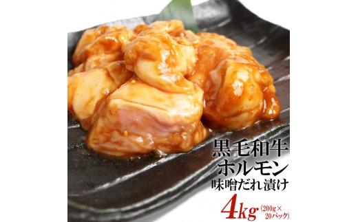 
            黒毛和牛ホルモン味噌だれ漬け4kg（200g×20）
          