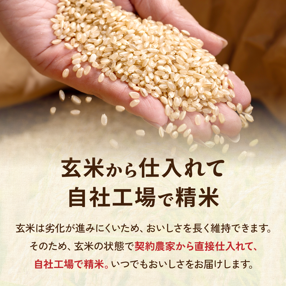 留萌市産 ななつぼし 5kg 令和7年産 精米 米 こめ 北海道 おいしい ブランド米 もちもち 送料無料 おとりよせ R037-003_イメージ3