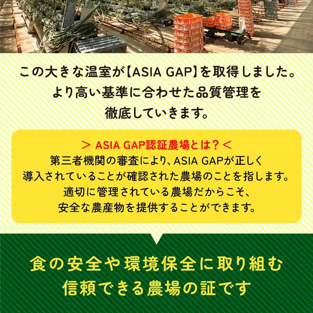 【1月～8月】訳あり 中玉 トマト 約3.5kg×2箱 | 訳あり トマト 中玉トマト 3.5kg 2箱 産地直送 野菜 国産 福島県 いわき産 とまと 数量限定 規格外 不揃い フレッシュ ジューシ