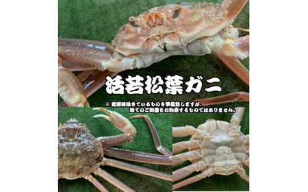 【魚倉】 生若松葉ガニ 4枚（足1～2本なし含む） 訳あり わけあり 若松葉ガニ かに カニ 蟹 ズワイガニ ずわいがに