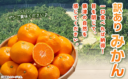 先行予約＜明浜産 訳あり みかん 約5kg＞ 果物 くだもの フルーツ 蜜柑 みかん ミカン 柑橘 ワケアリ 家庭用 食べて応援 国産 愛媛県産 特産品 俵津農地ヘルパー組合 愛媛県 西予市【常温】『