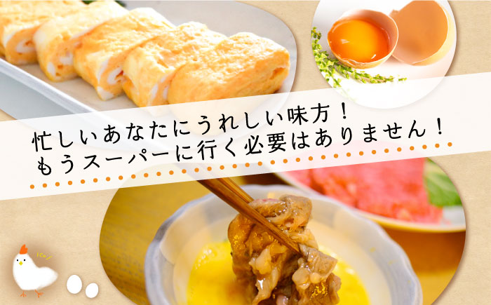 《月2回 × 20個 1ヶ月コース》 卵 てつやとのりこの玉子 全2回定期便 糸島市 / 板垣ファーム [AWD011]