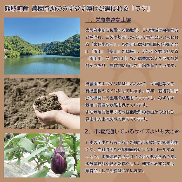  水なす漬け5個セット