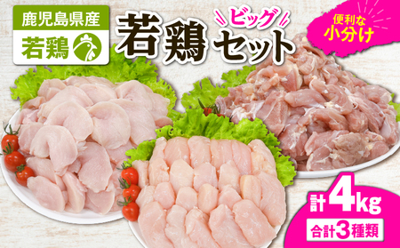 2648 若鶏4kgビッグセット KN105-001-02 国産 鹿屋市県産 鶏肉 鶏 鳥肉 鶏もも 鶏むね 鶏ささみ セット 小分け 真空 冷凍 冷凍保存 TRINITY ふるさと納税 鹿児島 鹿屋市 おすすめ ランキング プレゼント ギフト