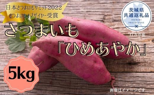 
さつまいも「ひめあやか」5kg（茨城県共通返礼品／行方市産）
