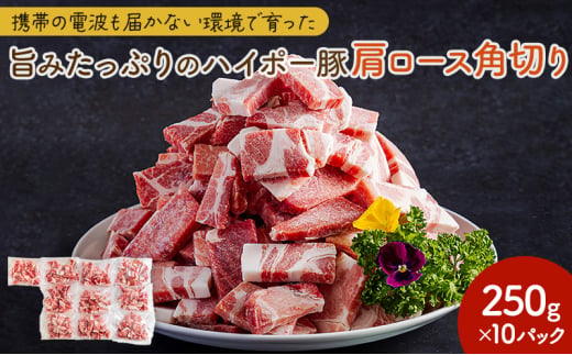 [№5681-0149]豚肉 山口県産 豚肩ロース 角切り 250g×10パック 小分けセット | 携帯の電波も届かない環境で育った旨みたっぷりのハイポー豚 豚 肉 お肉 ※配送不可:離島