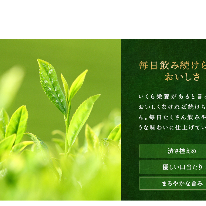 宇治抹茶入深蒸し煎茶1kg箱(250g×4袋)〈煎茶 お茶 茶 緑茶 深むし 深蒸し茶 茶葉 お茶葉 宇治抹茶 抹茶 お抹茶 飲料 ブレンド 濃厚 加工食品〉_イメージ5