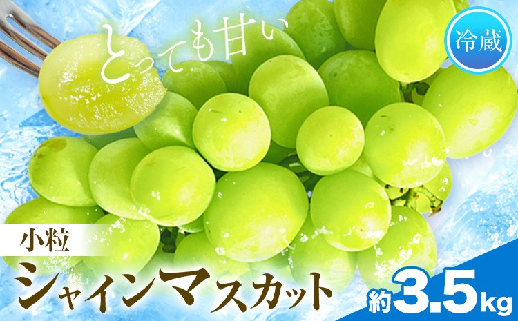 
                  小粒 シャインマスカット 9-11房 約3.5kg タンポポ農園《2026年9月上旬-10月下旬頃出荷》送料無料 岡山県 浅口市 フルーツ マスカット ぶどう 果物 贈り物 秋 冷蔵
                