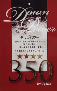 訳アリ羽毛肌布団 シングル ホワイトダウン８５％【ダウンパワー３５０】１５０×２１０ｃｍ羽毛肌掛け布団