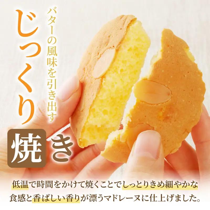 【2週間以内発送】老舗菓子舗のマドレーヌ 「計3個・個包装」 焼き菓子 スイーツ 詰め合わせ 洋菓子_T035-0106