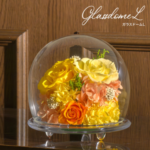ガラスドームL 花 お花 プリザーブドフラワー ギフト プレゼント お祝い 誕生日 お供え アレンジ インテリア 東京都 墨田区 ピンク×パープル