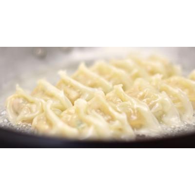 ふるさと納税 清須市 天中軒の冷凍餃子　5パック |  | 01