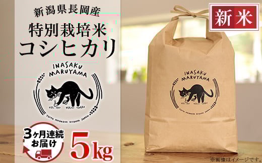 
            L4-K053A【3ヶ月連続お届け】新潟県長岡産 特別栽培米コシヒカリ 5kg
          