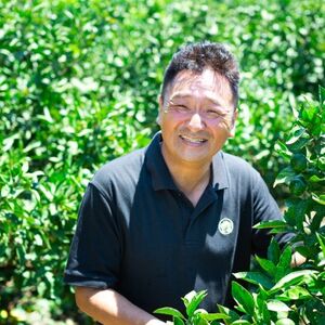 「玉宝ブランド」【甘平】10kg【H64-45】【1511265】