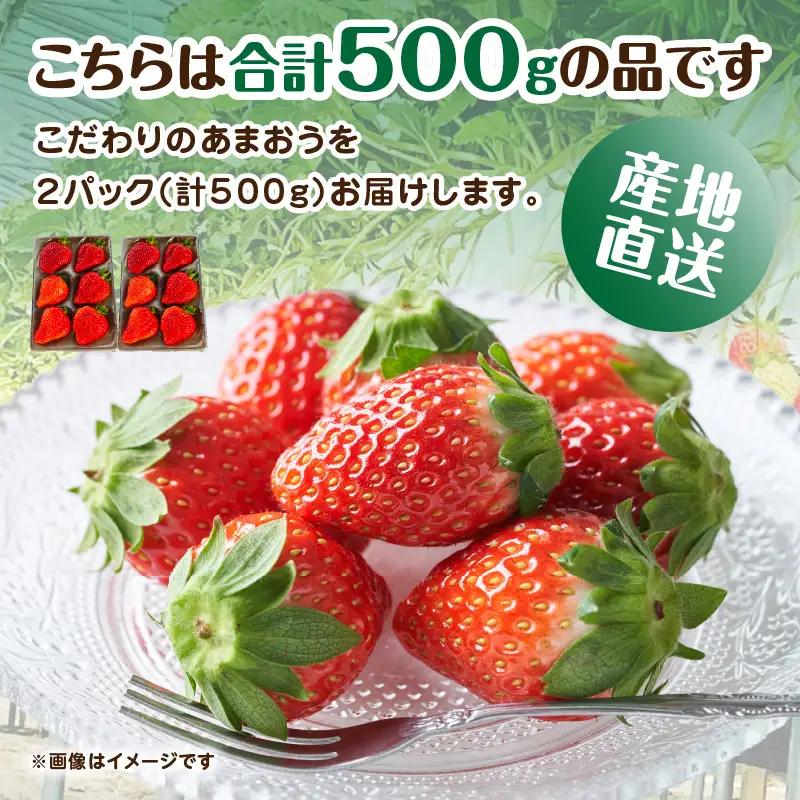 こだわりあまおう 250g×2パック（合計500g）｜2026年12月～順次発送＜ひらい観光農園＞ いちご イチゴ 苺 065-012