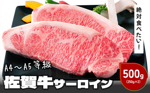 
佐賀牛サーロイン500g(ステーキカット250g×2枚)
