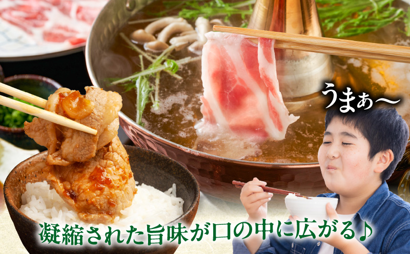 【2週間以内発送】宮崎県産豚肩ローススライス計2.4kg 肉 豚 豚肉 おかず 国産_T009-0083-2W