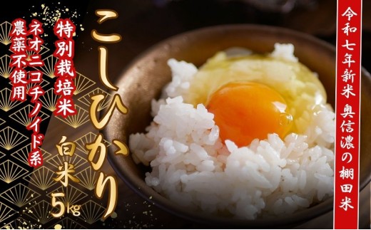 <令和７年産 新米> 特別栽培米 『奥信濃の棚田米 実の里』 こしひかり 精米 5㎏ (7-19B) お米 コメ 白米 ご飯 長野県 信州 飯山市 新米 令和7年 コシヒカリ 産地直送 農家直送