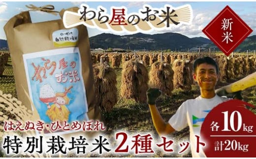 【令和7年産 新米 先行予約】 【わら屋のお米】 特別栽培米2種セット 「はえぬき･ひとめぼれ」 各10kg (計20kg) 《令和7年10月下旬～発送》 『おがわ藁農園』 米 白米 精米 ご飯 農家直送 セット 食べ比べ 山形県 南陽市  [2169-R7]