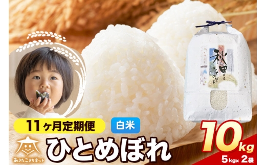 令和8年産 《定期便11ヶ月》ひとめぼれ 10kg（5kg×2）【白米】秋田県産 [ひとめぼれ お米 精米 小分け 定期便 5kg袋]