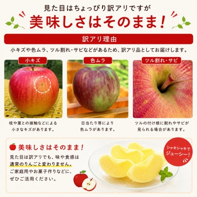 旬の品種お任せ【訳アリ】茅野市産りんご3kg(8～10玉)【配送不可地域：離島・沖縄県】