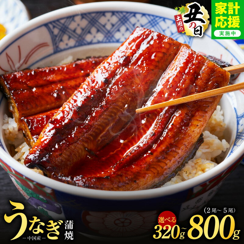 秘伝のたれ仕込み うなぎ蒲焼 合計320g（約160g×2尾）