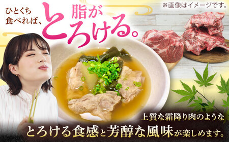 豚肩ロース 沖縄県産豚肉 本格骨汁セット 約4kg (だし骨1kg×3P/肩ロースブロック1kg)  BCAJ015 豚肉