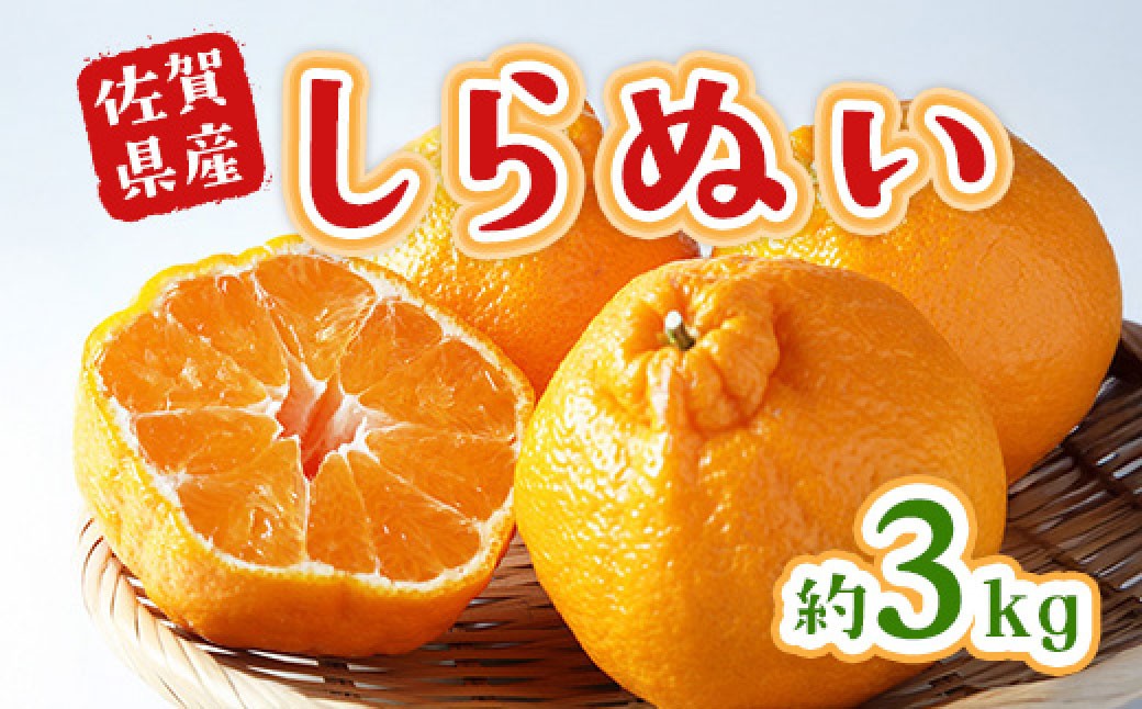 
                  不知火 約3kg 不知火 フルーツ 果物 くだもの 柑橘 デコポン でこぽん 甘い あまい 新鮮 デザート 佐賀県 太良町 NB47 【2027年2月下旬～4月上旬発送予定】
                