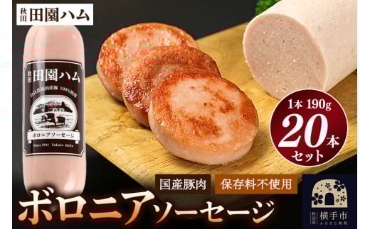 田園ハム ボロニアソーセージ 190g×20本セット