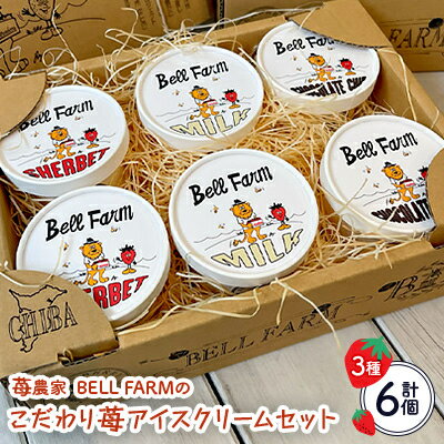【ふるさと納税】イチゴ農家 Bell Farm のこだわりイチゴ アイスクリーム詰め合わせセット　(3種×2個)6個【配送不可地域：離島】【1082439】