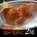 【ふるさと納税】流氷海明け活〆毛がに2尾（冷蔵便）【2025年4月中旬～発送開始予定】（網走加工）【 ふるさと納税 人気 おすすめ ランキング 毛がに 毛ガニ 毛蟹 カニ ガニ 蟹 海鮮 新鮮 かに味噌 カニ味噌 冷蔵 流氷明け オホーツク 北海道 網走市 送料無料 】 ABAO2129