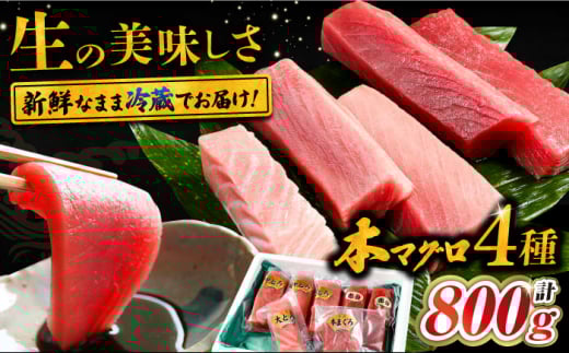 対馬産 生 本マグロ 800g （赤身、中トロ、大トロ）《対馬市》 【対海】 中トロ 大トロ まぐろ マグロ 鮪 生まぐろ 冷蔵 海鮮 鮮魚 新鮮 [WAH026]