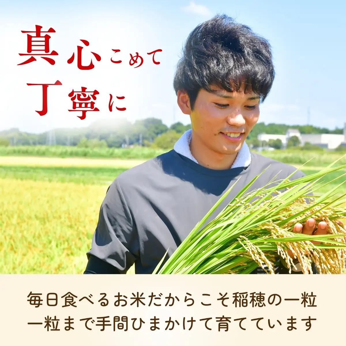 令和7年度 コシヒカリ 玄米 30kg 農家直送 | コシヒカリ 茨城県 龍ケ崎市 
