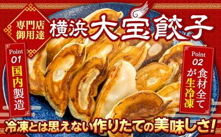 横浜大宝餃子 もちもち肉汁 ジャンボ餃子 60個（30×2）｜国産食材使用 冷凍餃子 ギョーザ 焼き餃子 お取り寄せ 中華総菜 中華 ギフト｜人気 おすすめ 送料無料｜神奈川県 横浜市 AKN0001