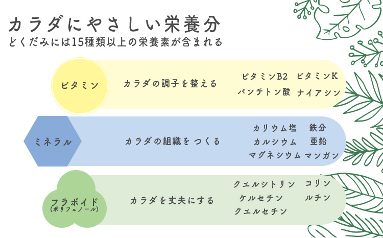 国産 無農薬 ノンカフェイン どくだみ茶「きりしま日和」ティーパックタイプ(1.5g×60包) 　 TF0654