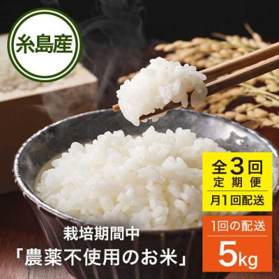 ふるさと納税 糸島市 【全3回(月1回)定期便】 栽培期間中 農薬不使用の米 ヒノヒカリ 5kg [AHC041]