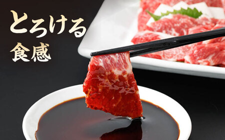 【12回定期便】霜降り馬刺し 計200g（2pc）＋タレ小【馬刺しの郷 民守】 特産品 霜降り 霜降り馬刺し タレ付き馬刺し 特産  [ZBL096]