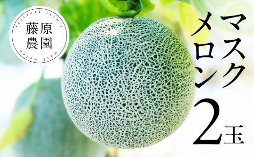 藤原農園　アールスメロン　3玉