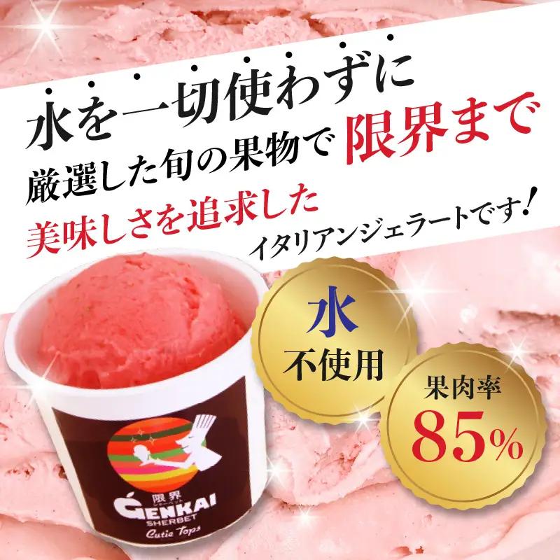 【お中元ギフト】 限界シャーベット 8個セット ≪7/1～8/9の期間に発送≫ J06005-S