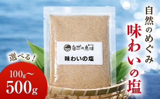 
                  【選べる容量】自然のめぐみ「味わいの塩」 100g or 500g ブレンド塩 食塩 天然塩 岩塩 安全 F6L-1409var
                