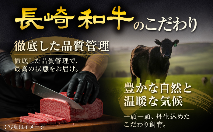 長崎和牛ヒレ&シャトーブリアンステーキ 食べ比べ 各約150g×2枚 計600g / ヒレ ひれ ヒレ肉 ヒレステーキ シャトーブリアン シャトー 赤身 赤身ステーキ ステーキ すてーき 和牛 牛肉 