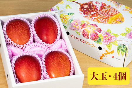 【2024年発送】沖縄県糸満産の「濃厚アップルマンゴー」2kg　オリジナル贈答用化粧箱入り　生産者：ゆいぐくるマンゴー